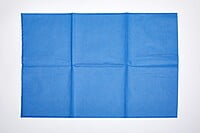 Softmed Disposable Pillow Cover 75x50cm Blue Carton of 50
