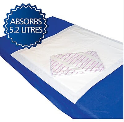 Haines TouchDry Plus Absorbent Pad For Maternity 90x90cm Carton Of 40
